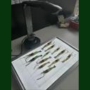 點(diǎn)擊查看 SC-B型魚蝦苗自動測量分析儀 詳細(xì)