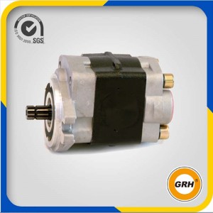 Hydraulic gear pump-GROUP 2.5